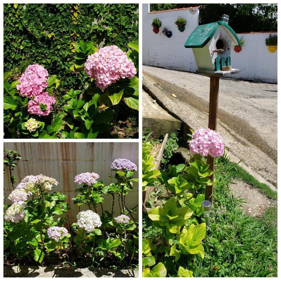 Pousada das Hortensias Conservatoria Bagian luar foto